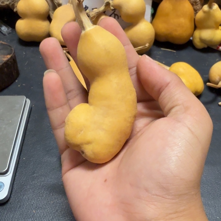 一***布88……………………………………