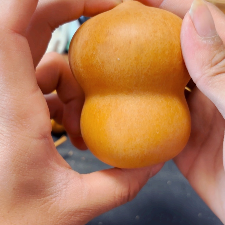 往****68888888888888888888