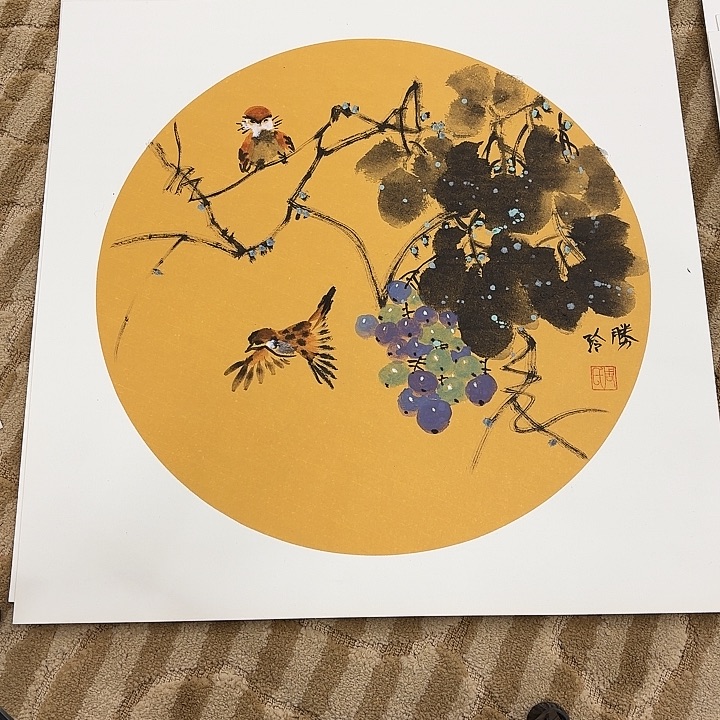 国画花鸟等多种鸟类的栖息地和