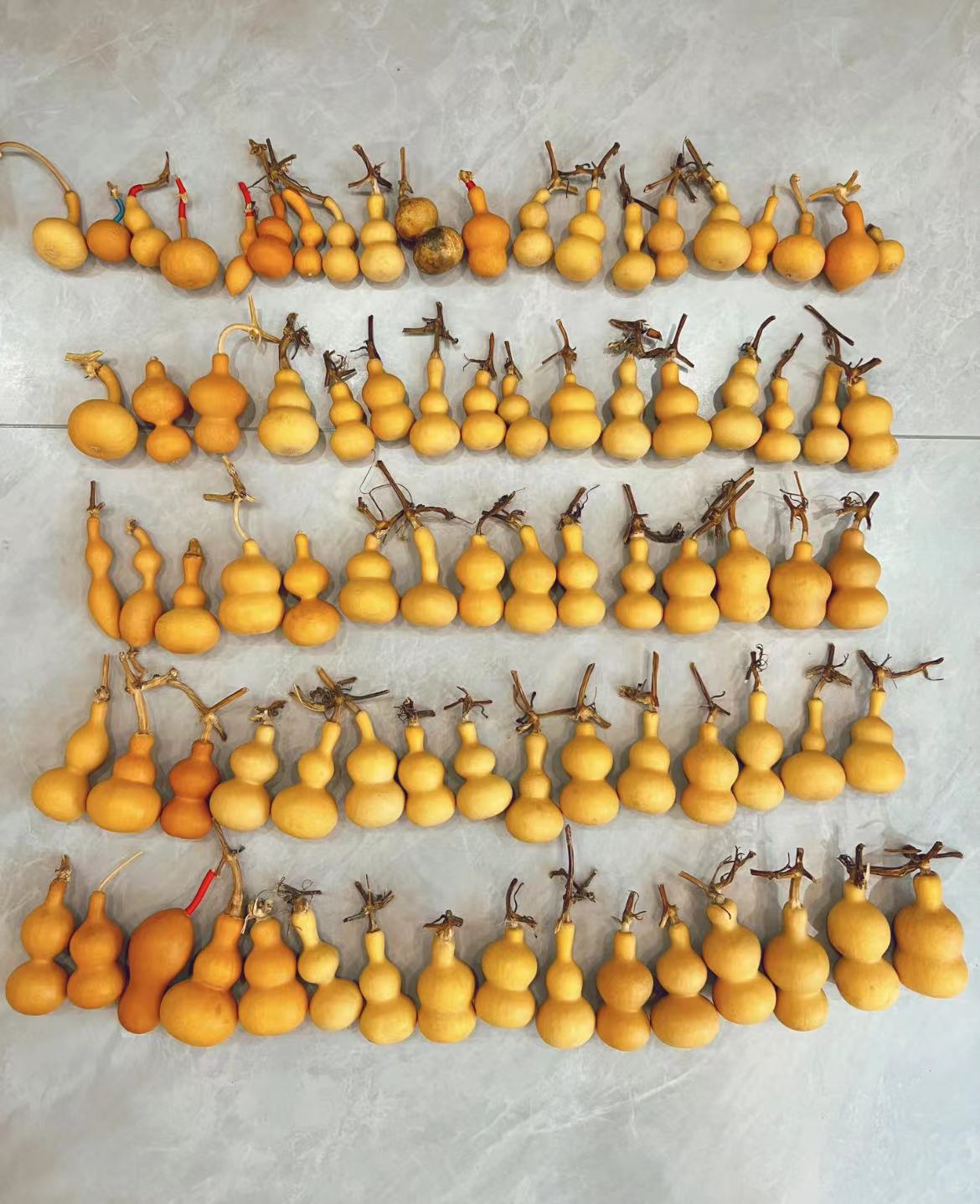 天然带龙头小葫芦手把件文玩盘玩佳品