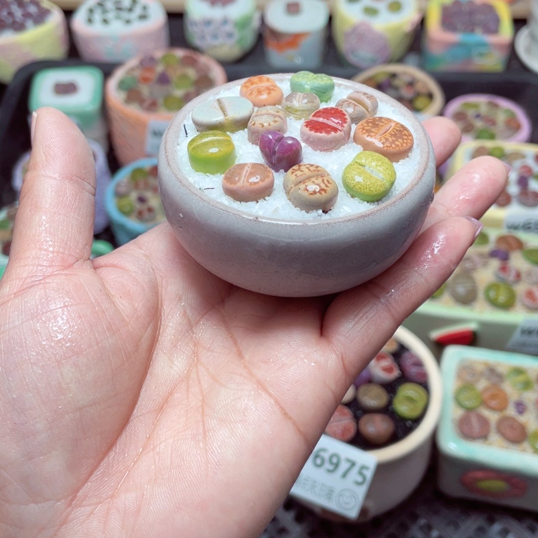 w6976 -零下地区拍保温箱-15支持寄养