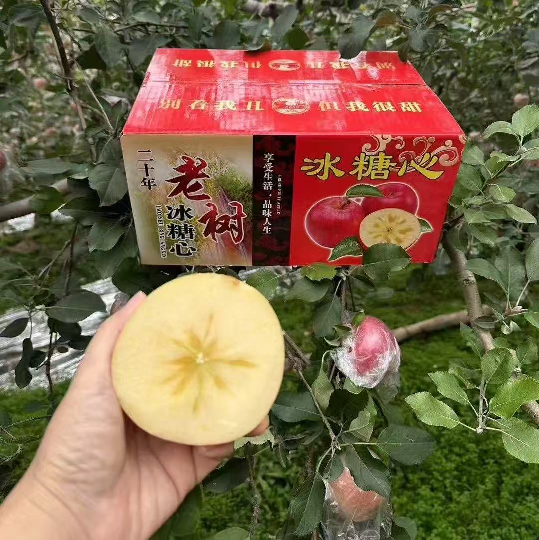 《湛哥专属》二十年老树冰糖心苹果（产地源头直发）