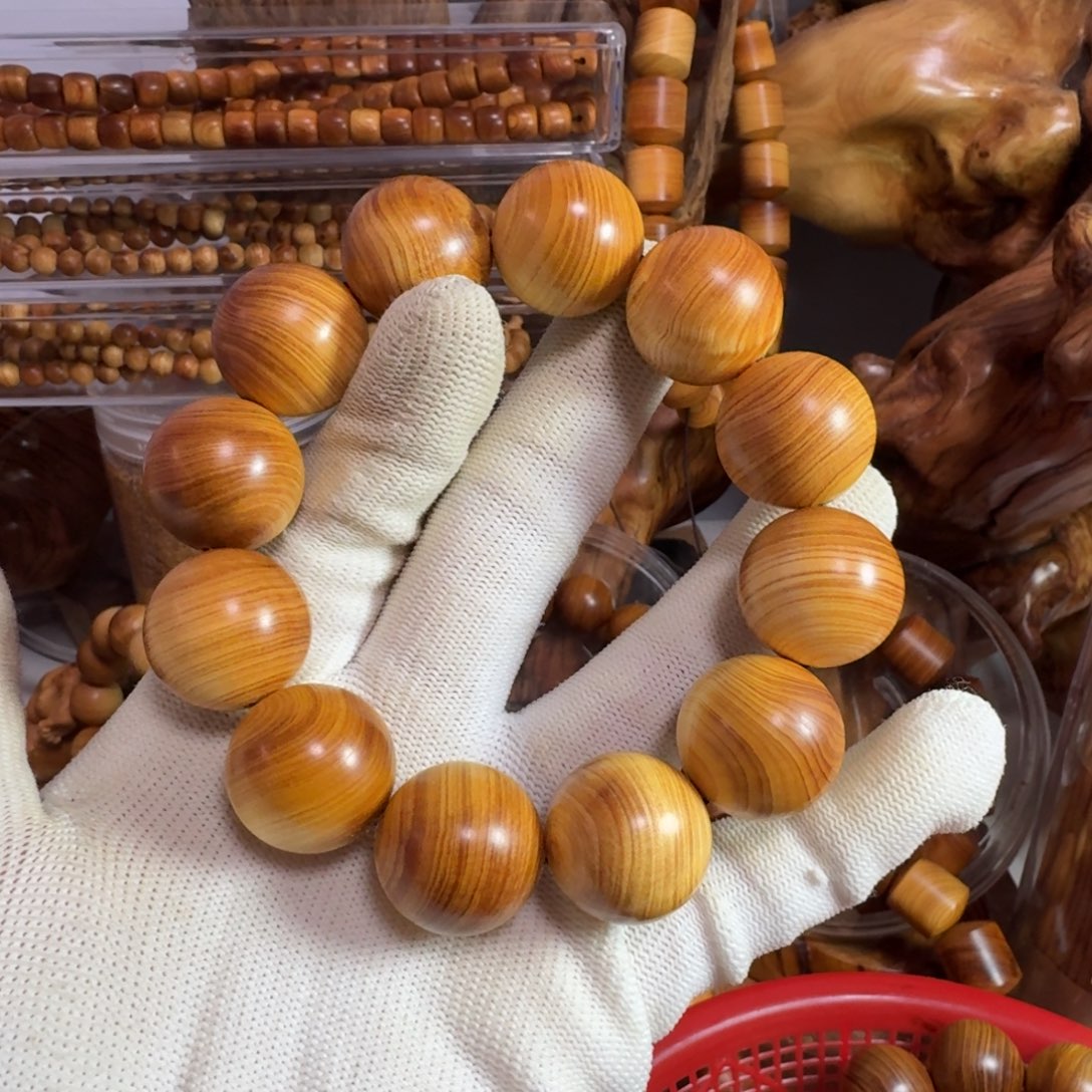 柏木（崖柏）T*太行崖柏2.0