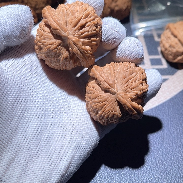 把件文玩核桃夕***山白狮子