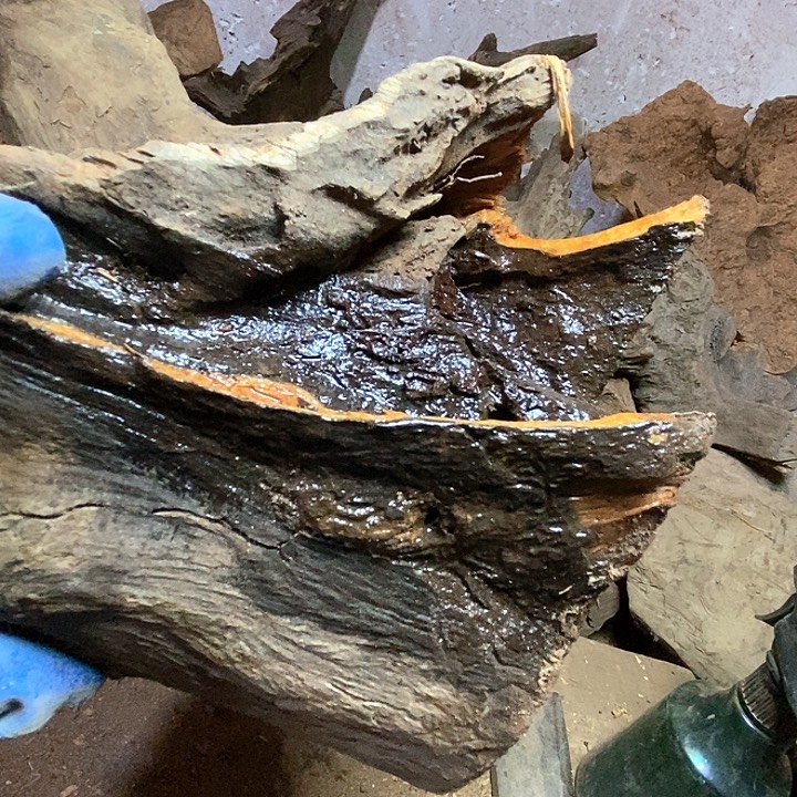 派***居贡木把件。你是不是也是