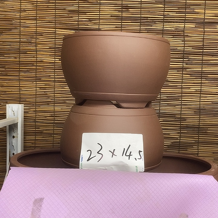 紫砂花盆我在外面