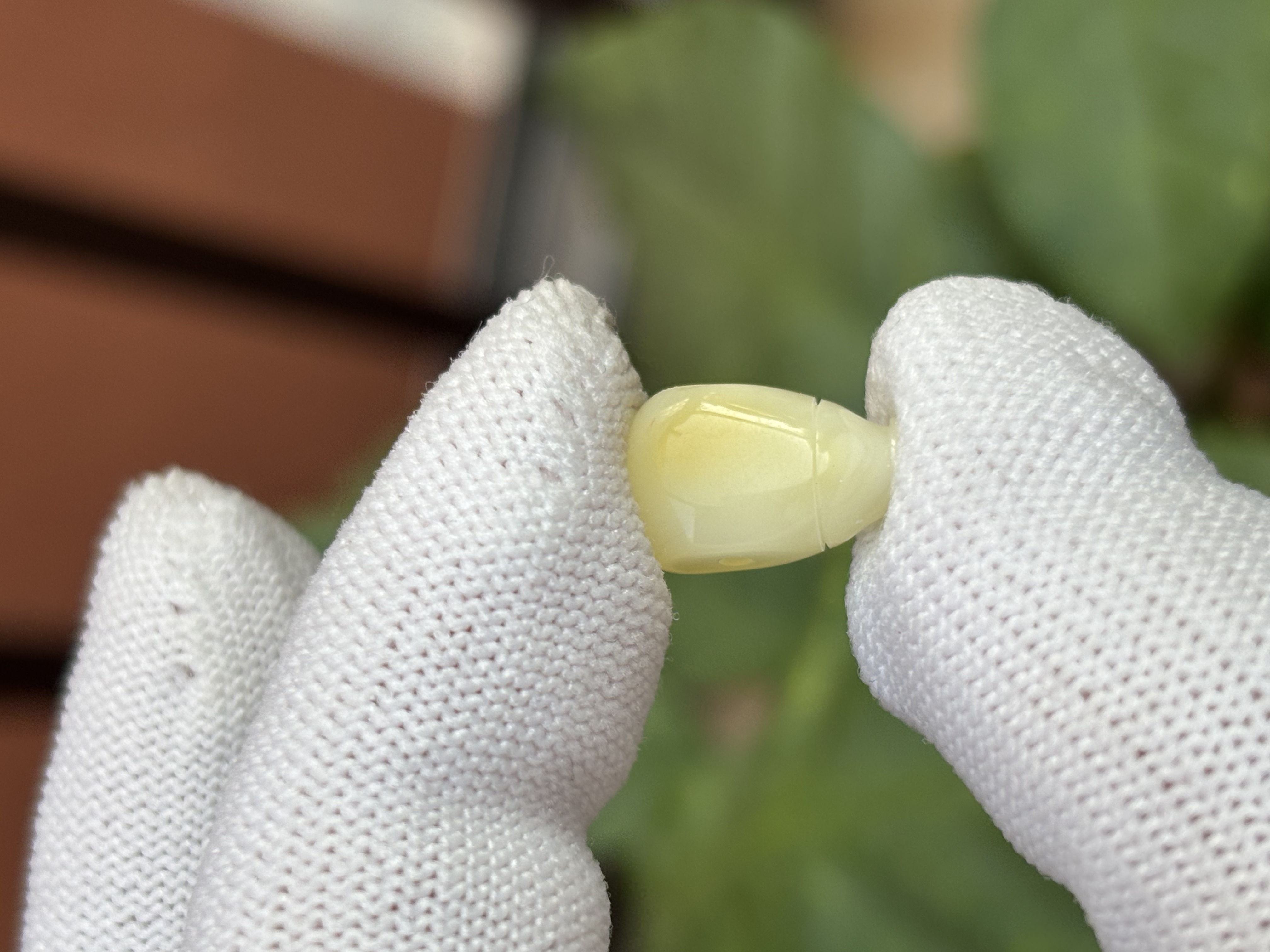 5474天然蜜蜡琥珀三通8.6x7.1x13.9mm