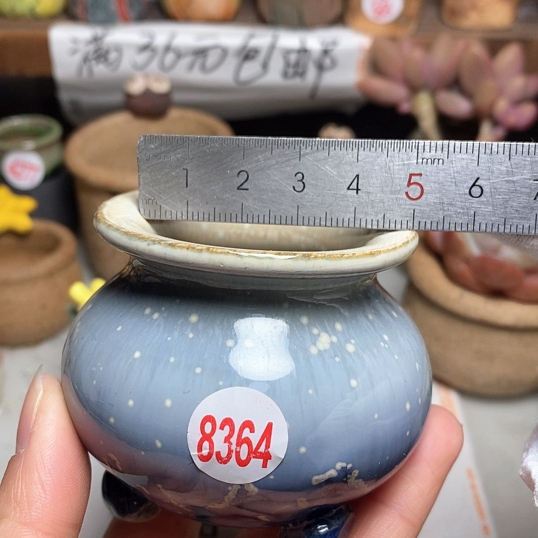 红陶拍5送一个小