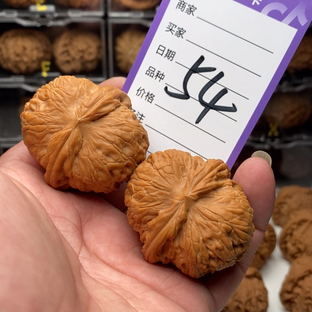 46全品平谷元宝狮子头