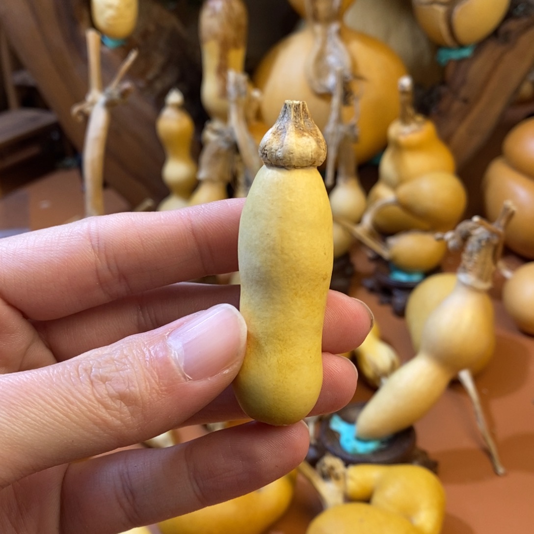 M***M教练教练教练咯哦你