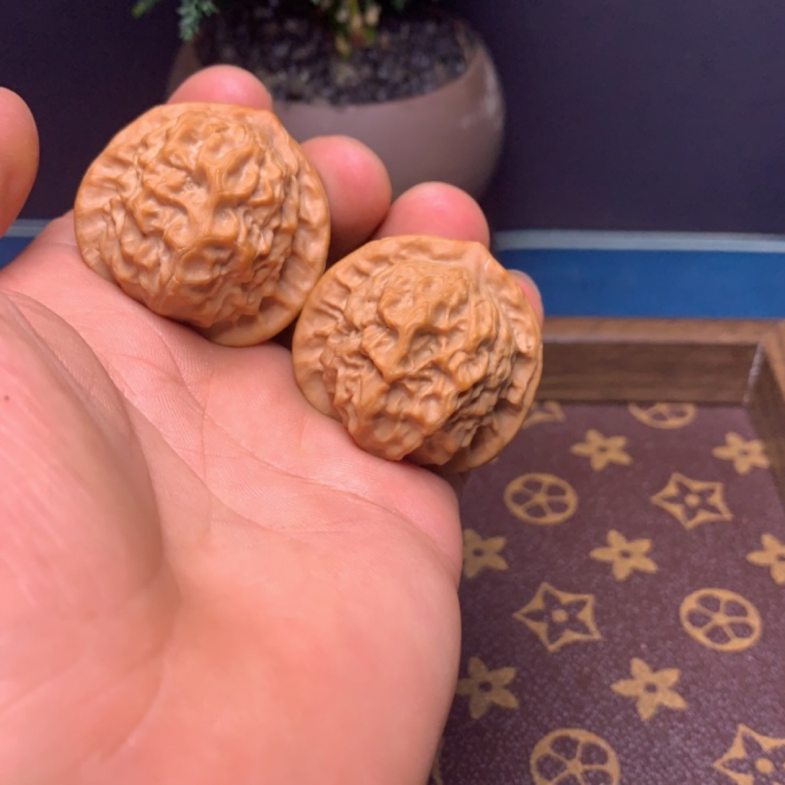 精品盘玩瓷娃娃文玩核桃