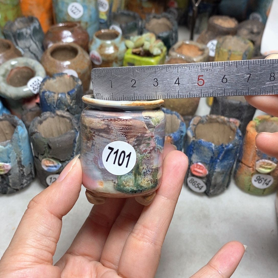 拍5送一个小礼物