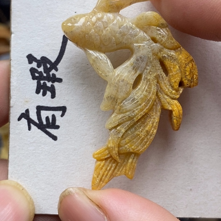 硅化珊瑚（珊瑚玉）未镶嵌颈饰