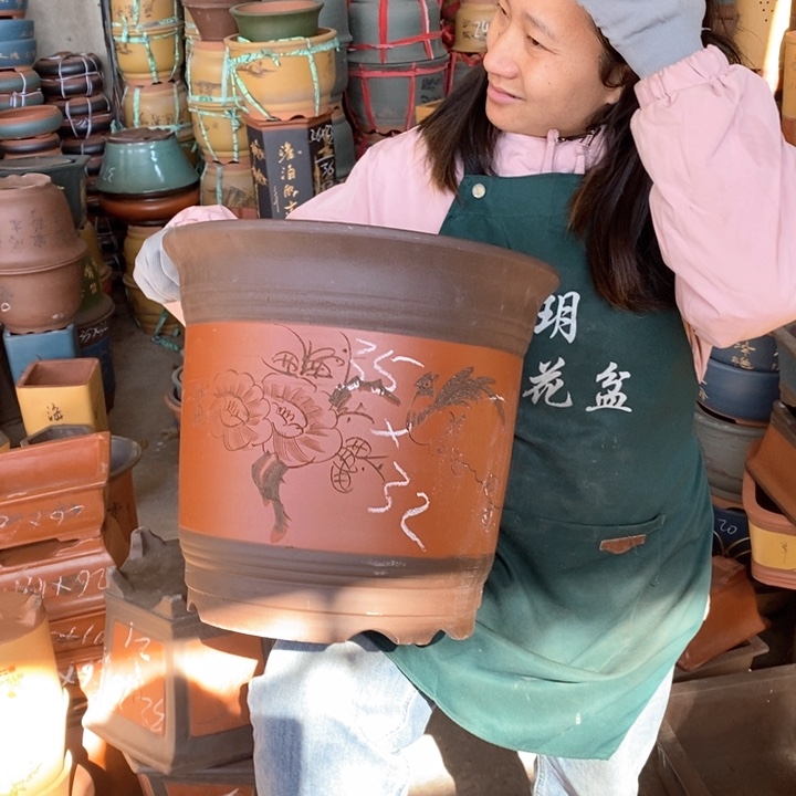 紫砂花盆盆栽花卉苗木种植