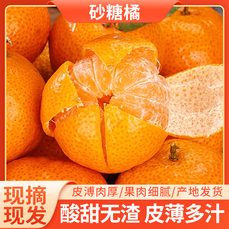 [现摘现发]广西自然成熟砂糖橘应季新鲜水果纯甜无酸无籽无渣