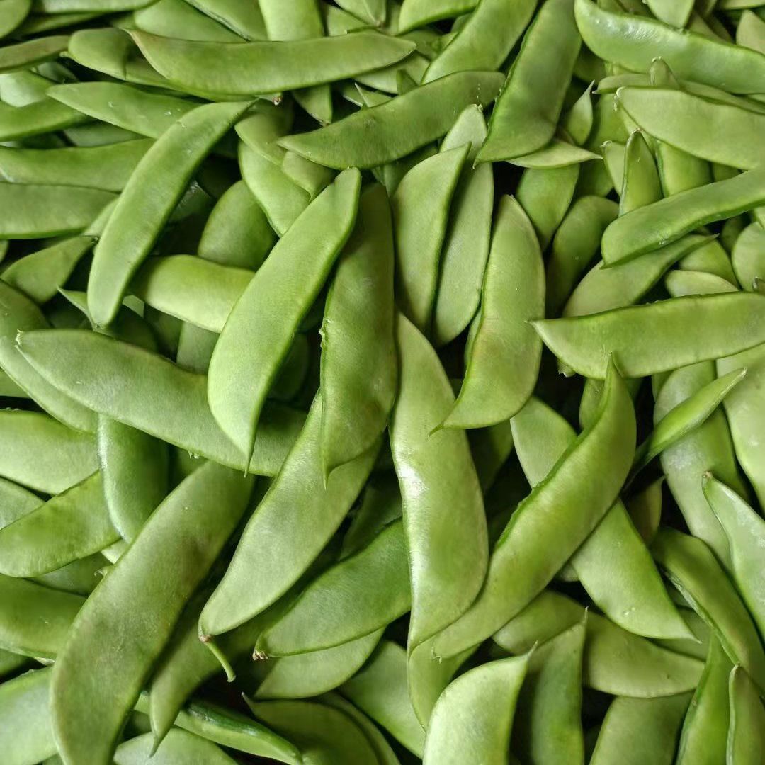 【白玉豆】新鲜带壳青嫩豆荚月豆白玉豆上饶广丰农家自种