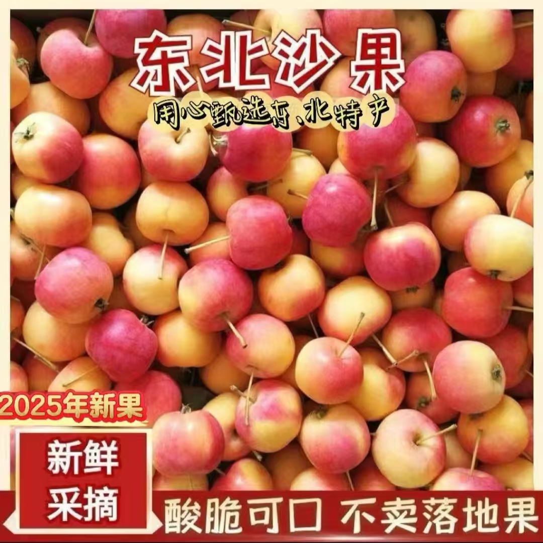 东北沙果海棠果老品种应季新鲜水果特产酸果可孕妇吃非小苹果