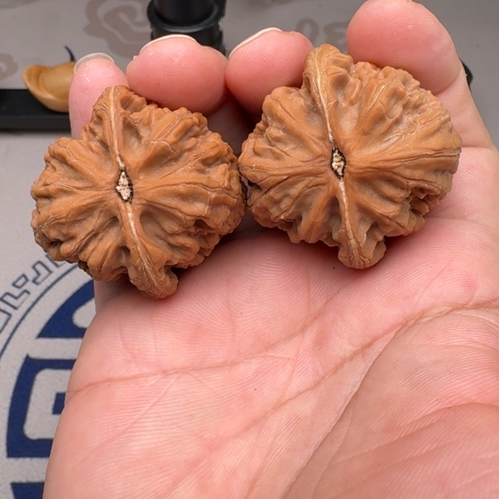 桃核把件鸭蛋虎42尺4