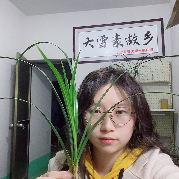 完全开放大大大大大大