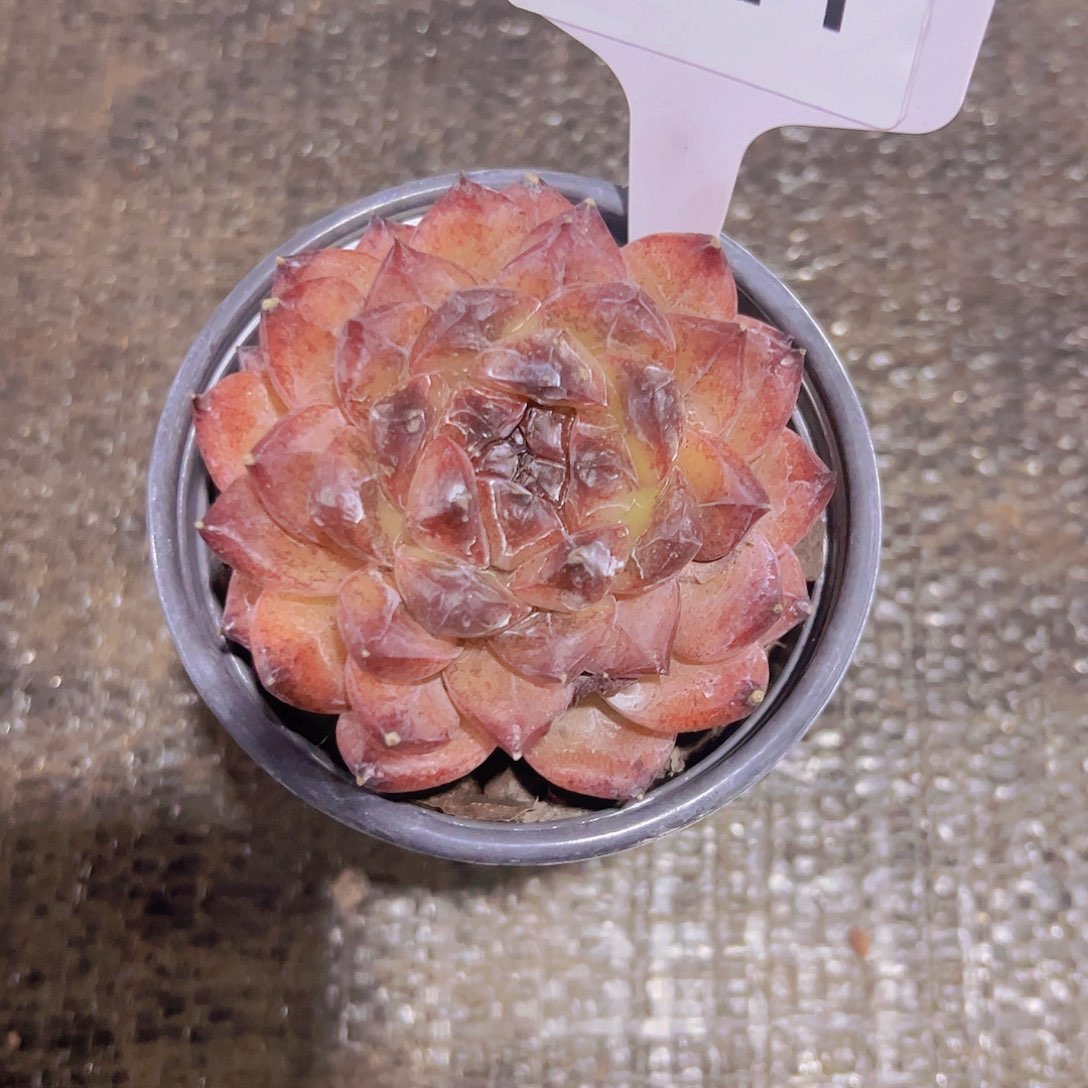 风***?521不知名10元元