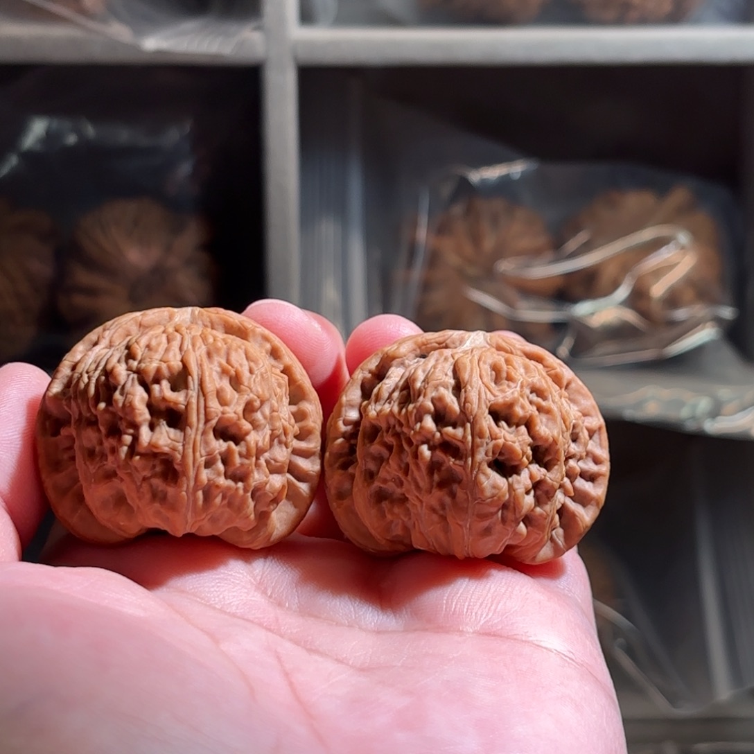 文玩核桃把件全品白狮子39 