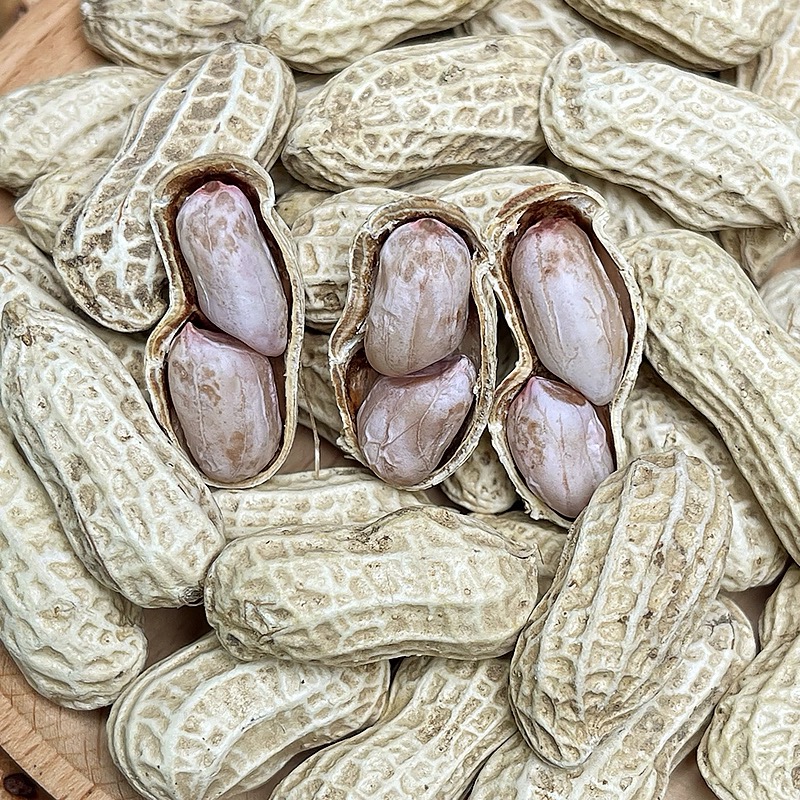 汕尾海陆丰水煮花生