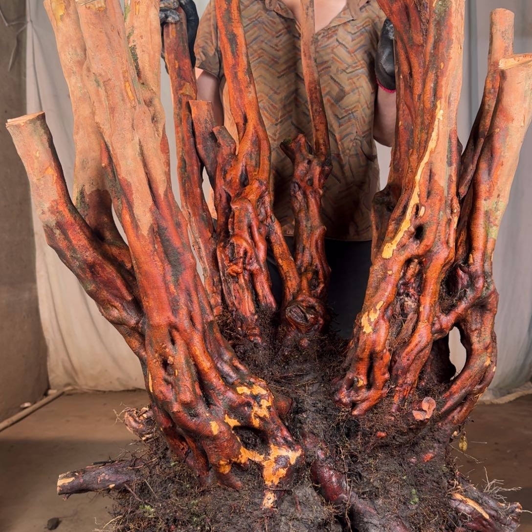 X***D111111111111111111