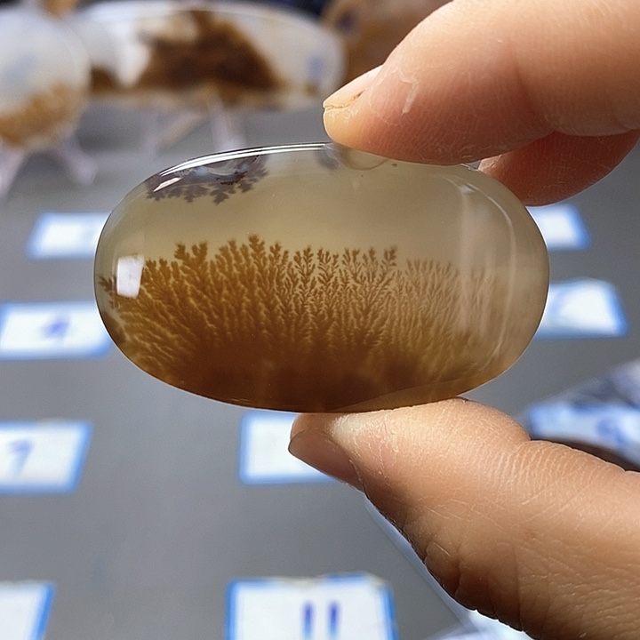 玛瑙/玉髓未镶嵌珠宝半成品