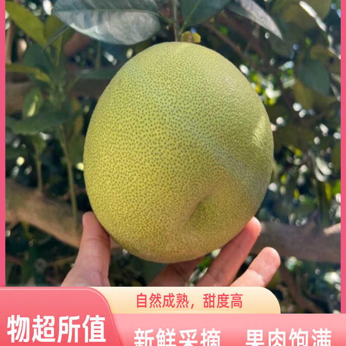 仙游度尾红心文旦柚水果蜜柚老少皆宜好吃多汁家备送礼佳品