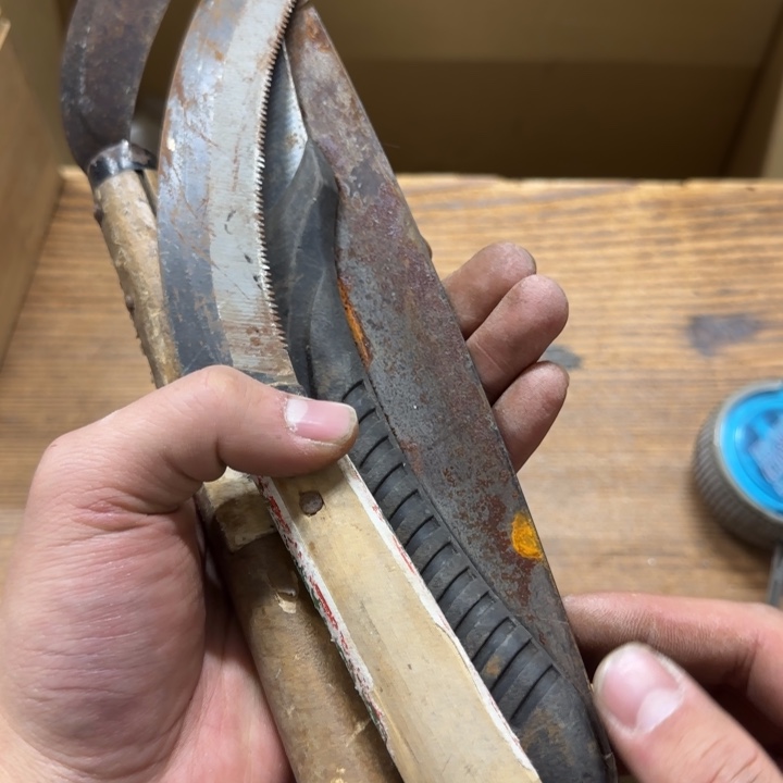 一****园哈哈哈哈哈哈哈哈哈