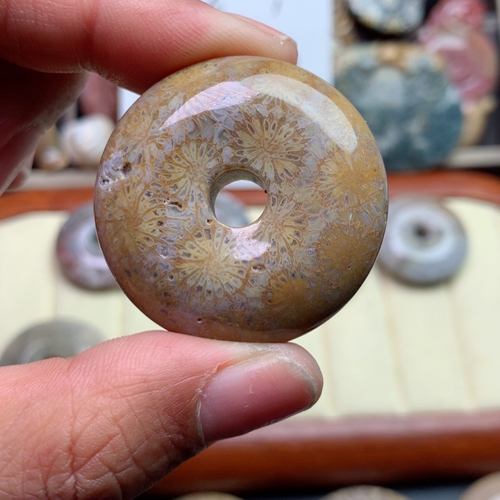 硅化珊瑚（珊瑚玉）颈饰未镶嵌