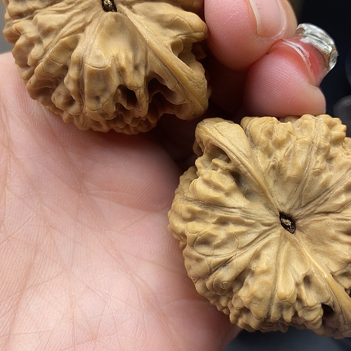 期*** 大叶紫檀（黑酸枝木类）官帽48