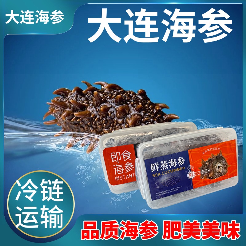大连鲜食海参顺丰发货
