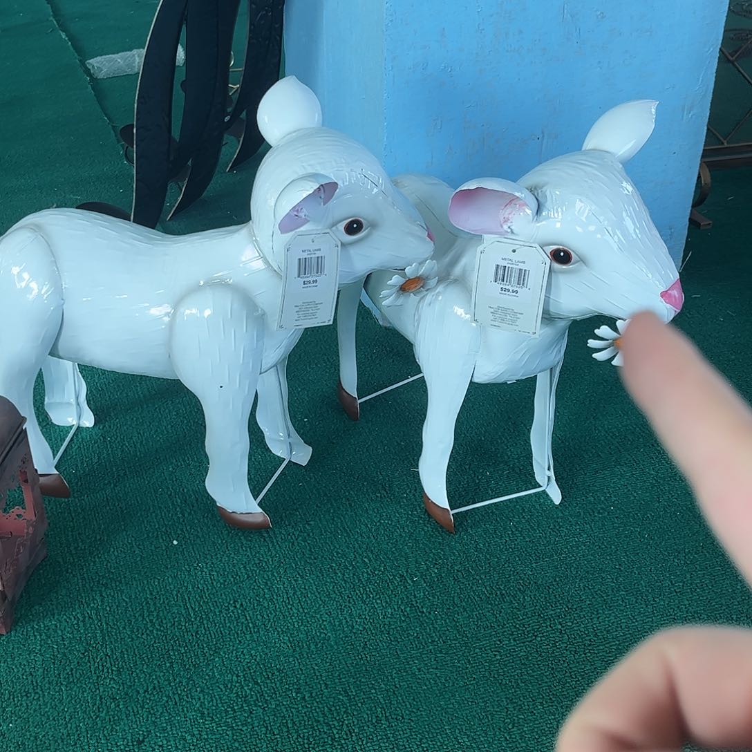 孤品炸炸炸炸炸炸