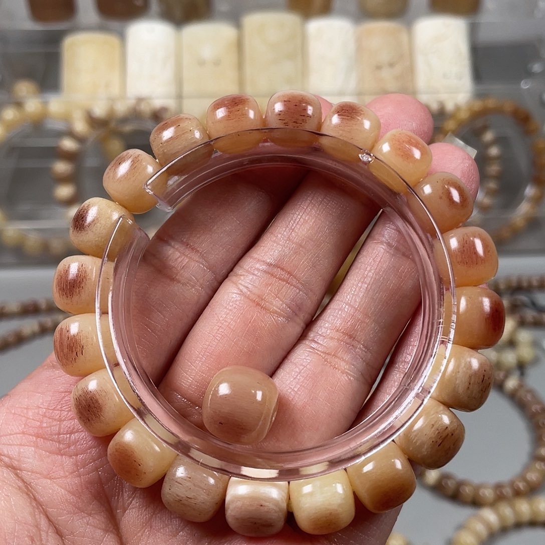 驼骨手串/手链郎驼骨10×11血单圈