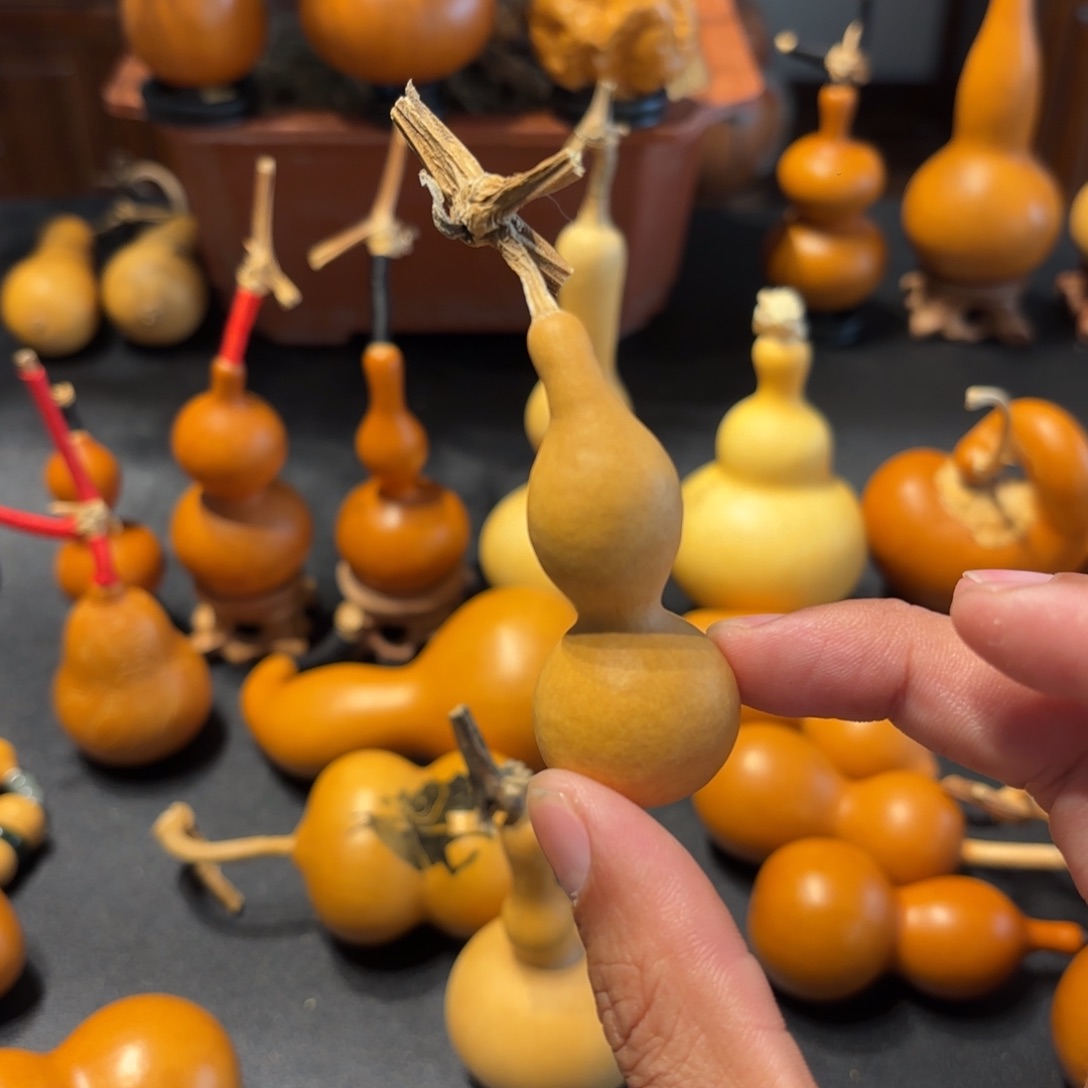 龙***头葫芦8888888888888