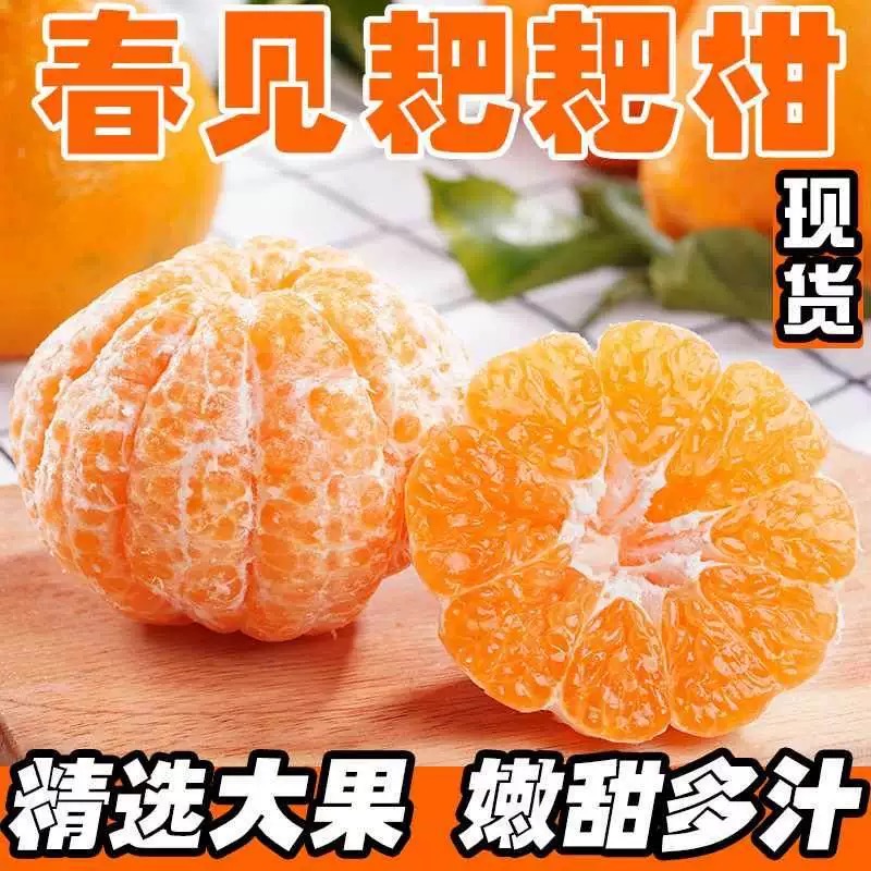 四川春见耙耙柑新鲜香甜多汁带叶发货的应季水果1