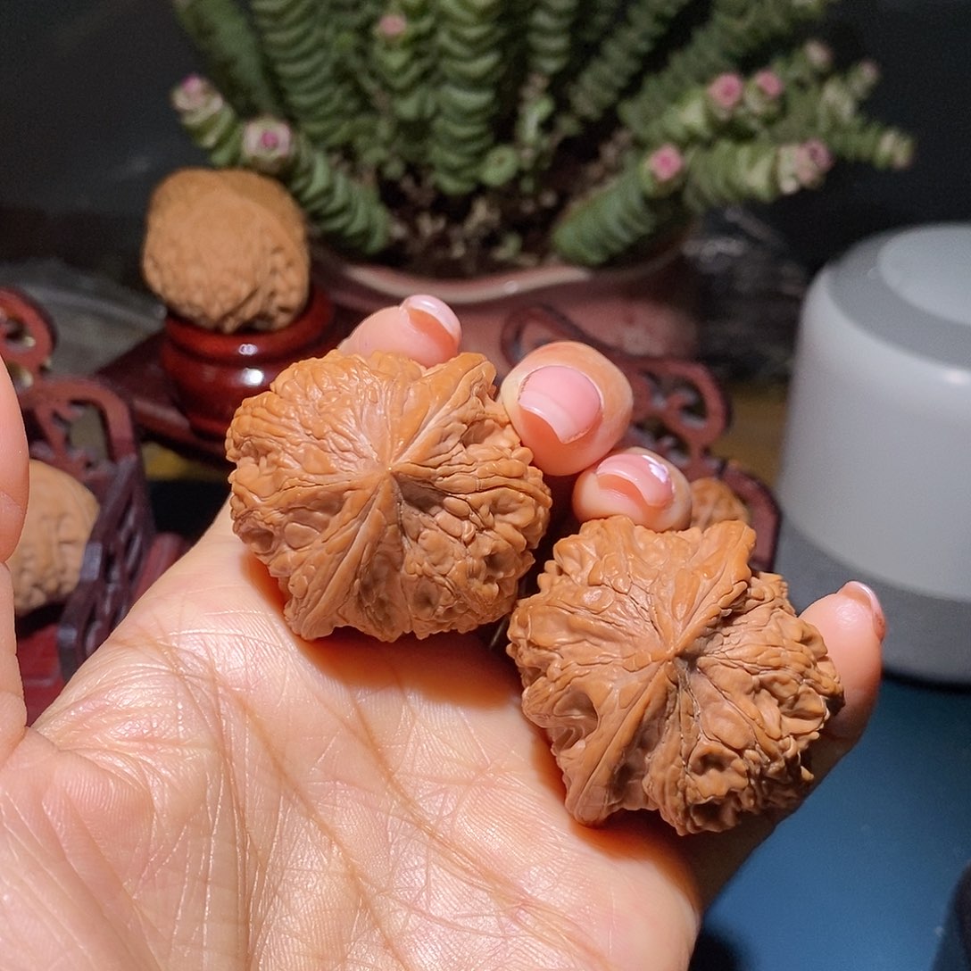 文玩核桃把件41大沽石