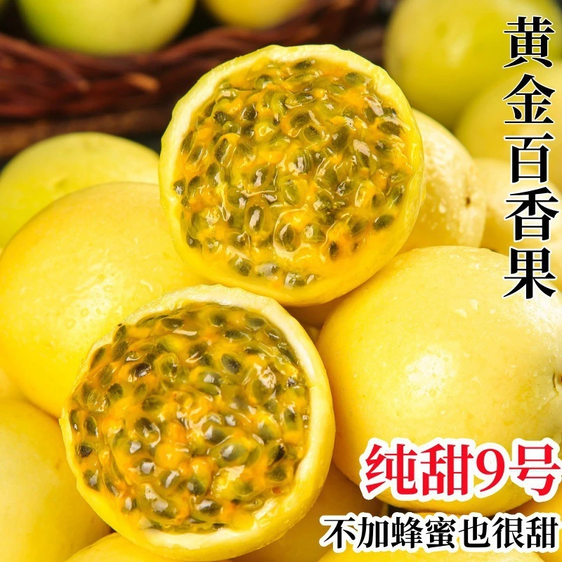 【香甜多汁】钦蜜9号黄金百香果广西新鲜水果当季产地直发
