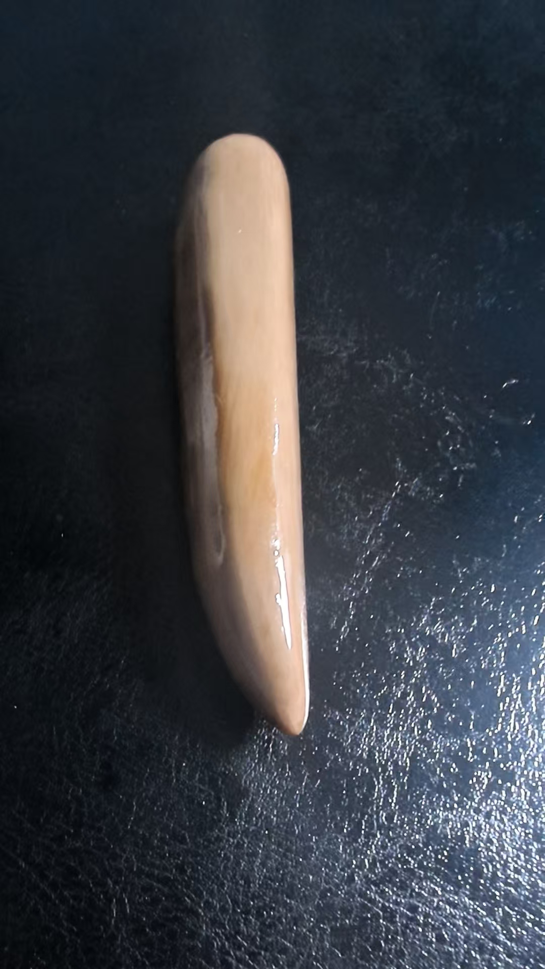 猛犸约22克雕刻件xy896