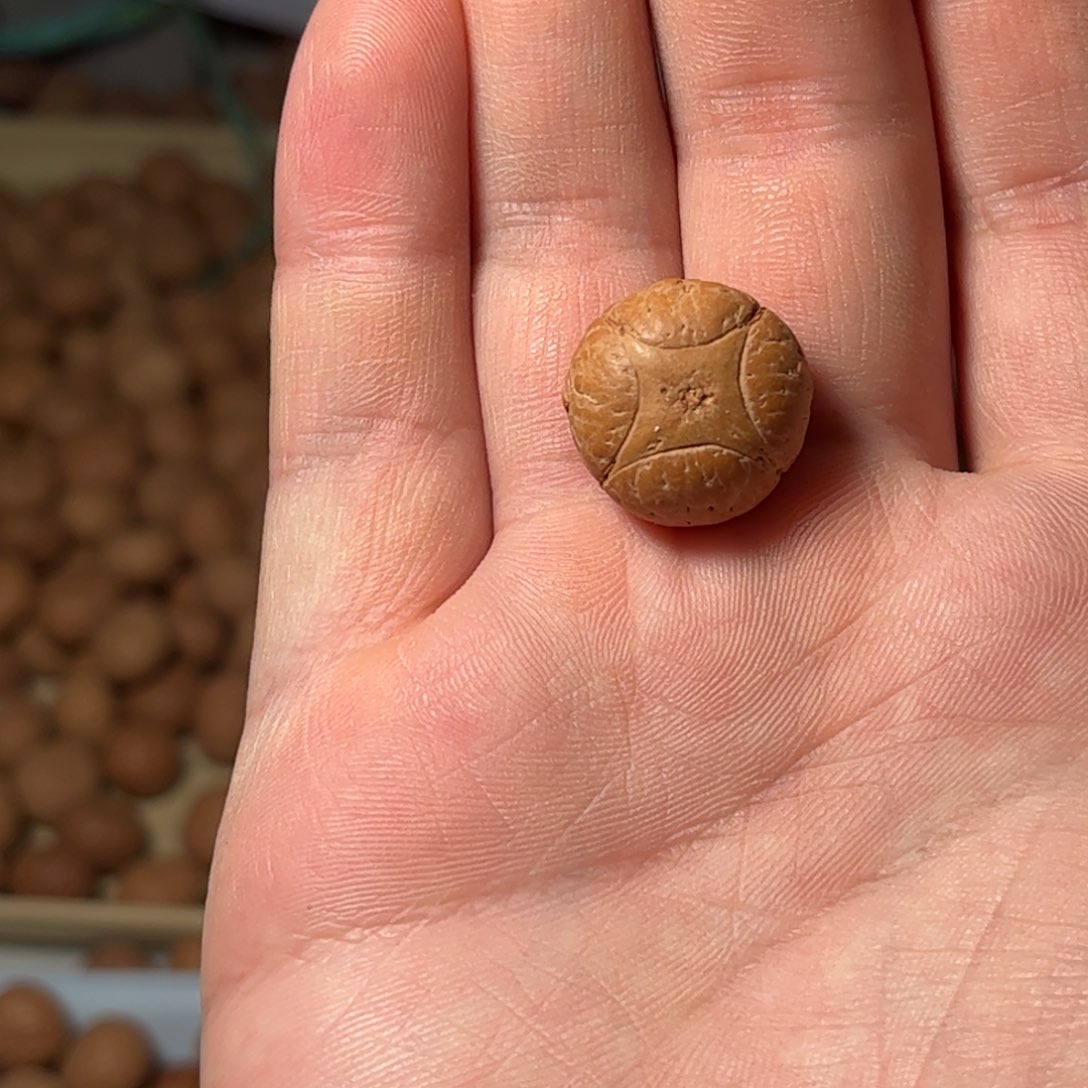 桃核吊坠18.5mm麒麟眼单颗，开孔不退，偏远不包