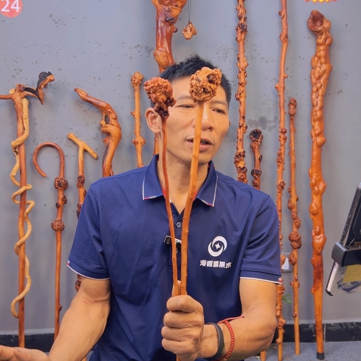 黑果木一物一拍，以直播间截图实物为准，有风化裂痕