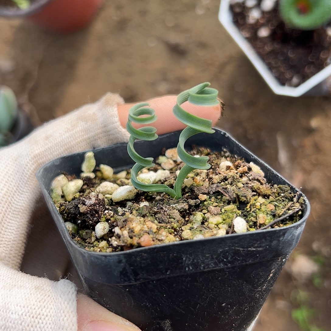 娜哦哦哦哦呃呃呃呃