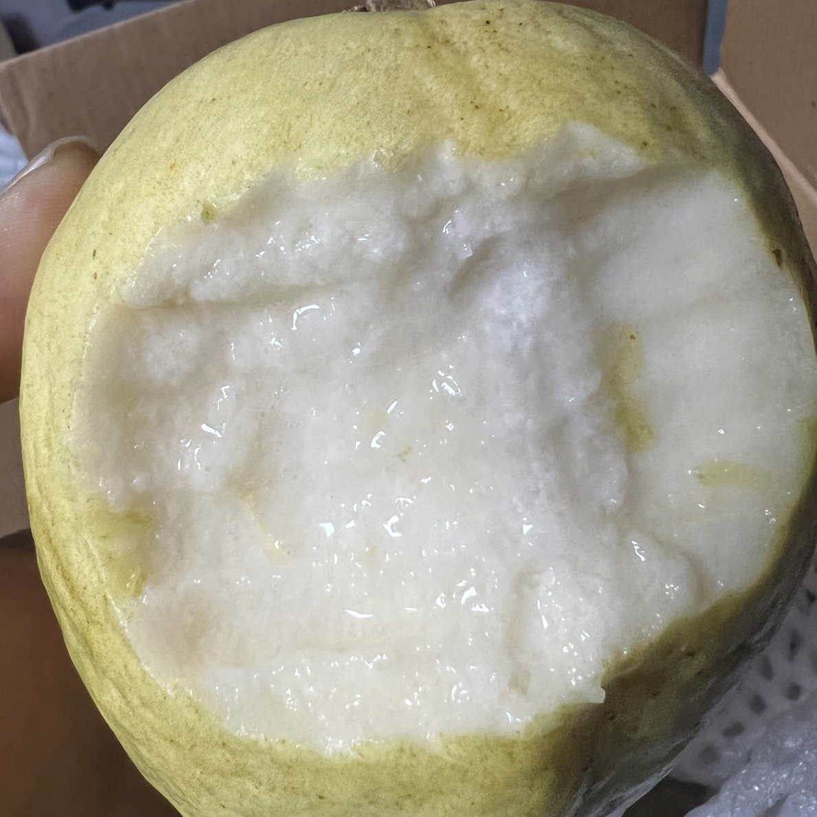 3斤（4个头）奶油白心软芭乐(树上熟香甜软糯)