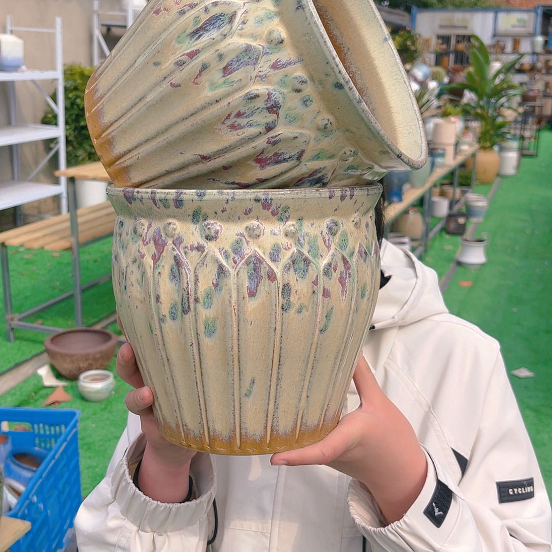 红陶彭于晏0309-1049