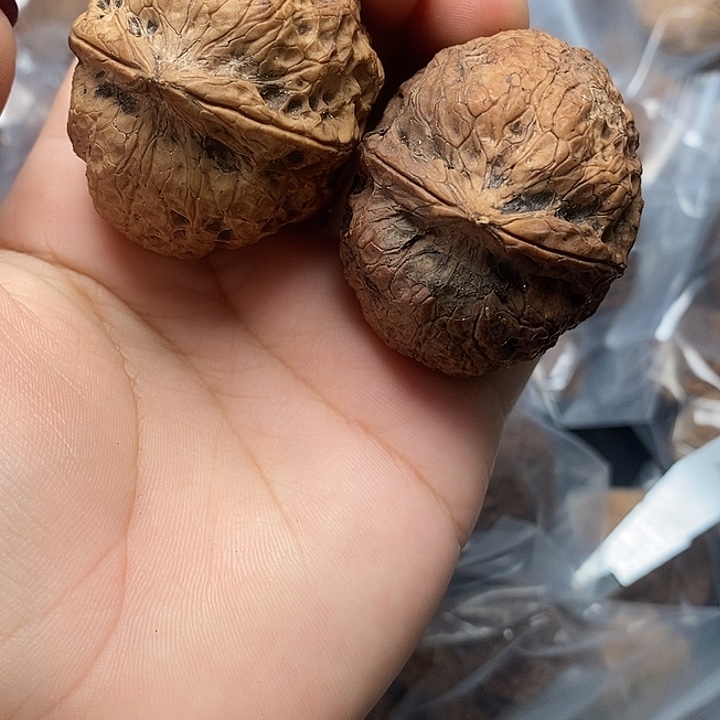 文玩核桃把件      12h