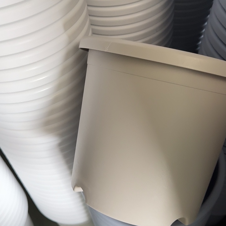 四季5号灰白无托6个特价微瑕