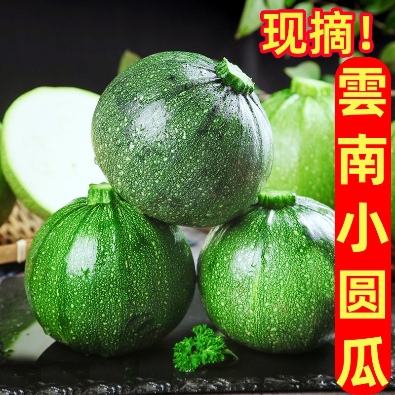2025云南现摘嫩南瓜小圆瓜农家自种新鲜西葫芦批发应季蔬菜火锅