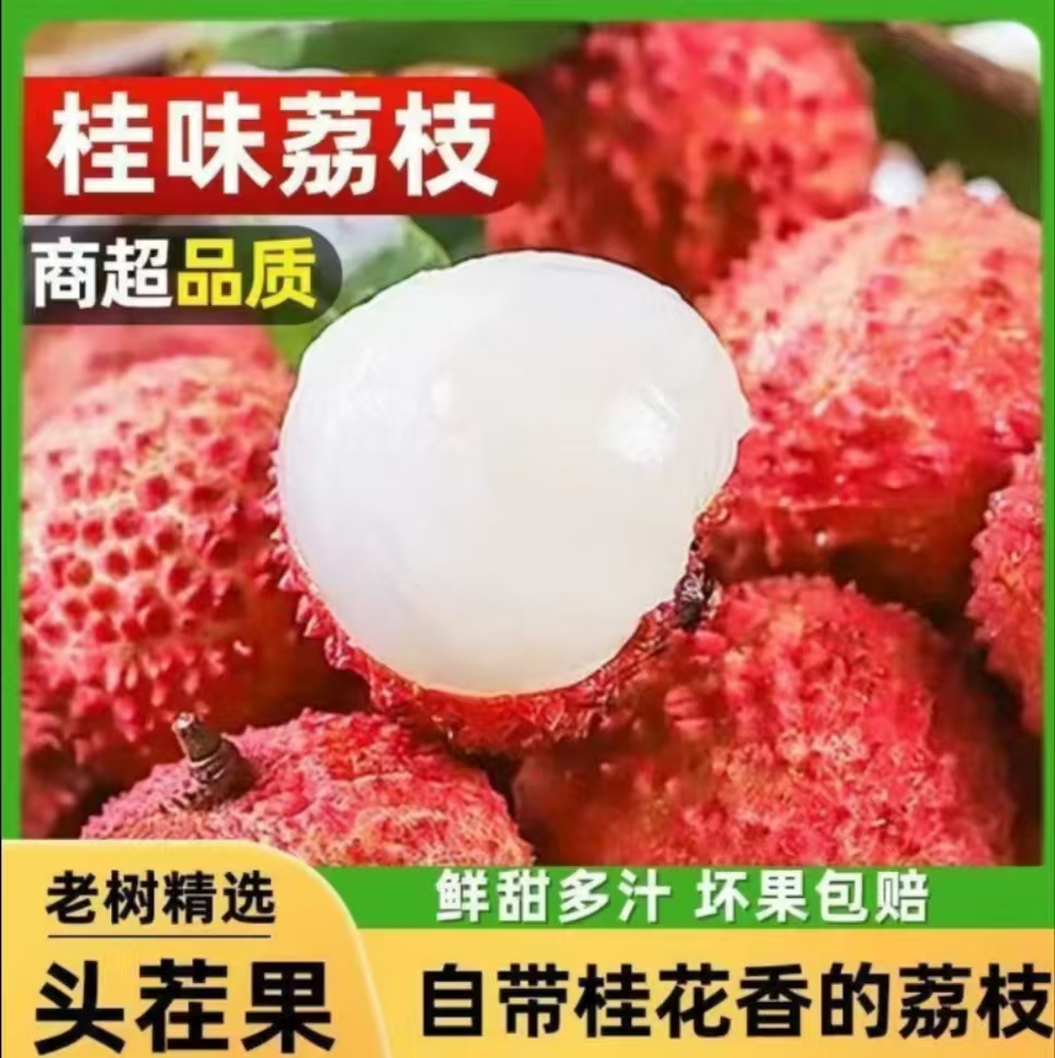 广东桂味荔枝当季新鲜现摘老树果清甜多汁【京东冷链直发】