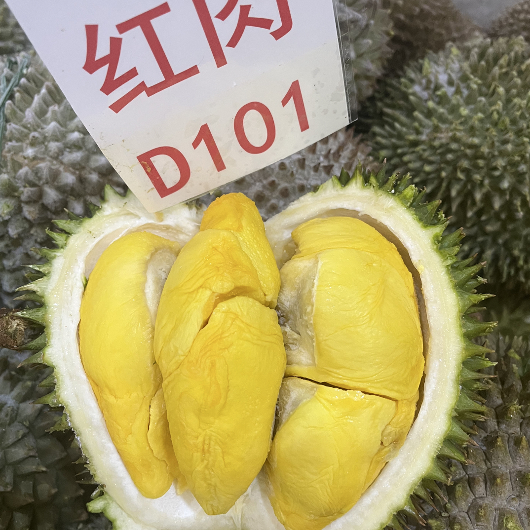 小猫山王D101红肉液氮冷冻榴莲D101红肉马来西亚